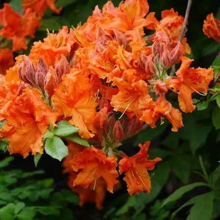 Appartamento Lutterow Rheinsberg