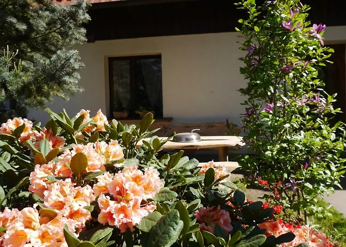 Lutterow شقة راينزبرج