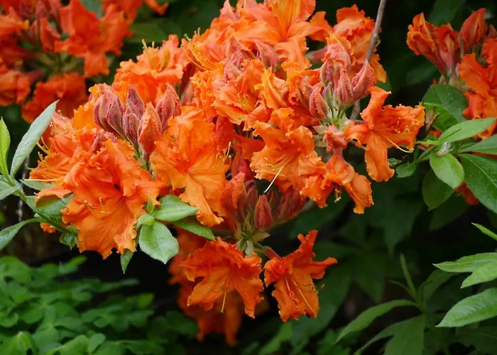 شقة Lutterow راينزبرج